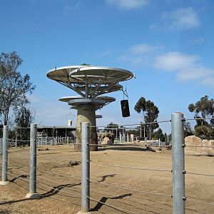 Elephant Odyssey - Opening Day