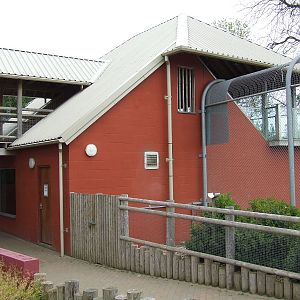 Lion House, Kingdom of the Lion