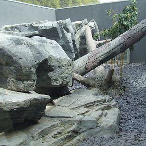 Snow Leopard enclosure, Rare Species Conservation Centre, Sandwich