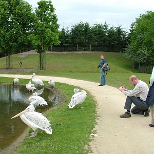 Asian Walk-through at Overloon 14/05/09