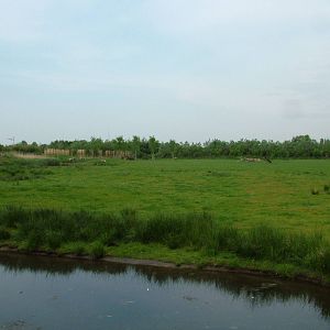 Enormous Reindeer Island at Overloon 14/05/09