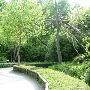Binturong enclosure at Overloon 14/05/09