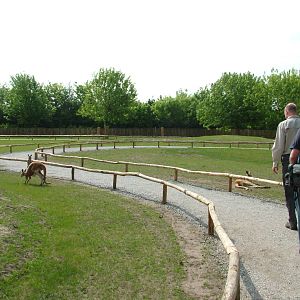 Outback walkthrough at Overloon 14/05/09