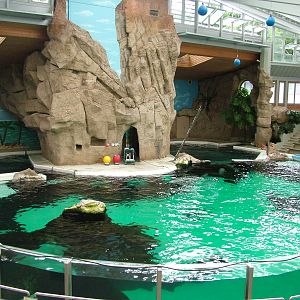 Dolphinarium at Duisburg 15/05/09