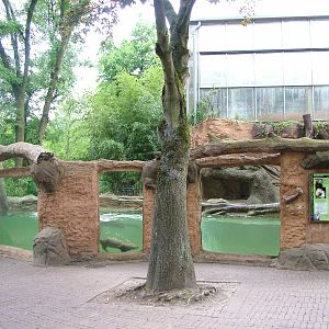 Giant Otter outdoor exhibit at Duisburg 15/05/09