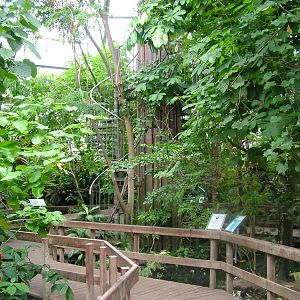 Rainforest House interior at Krefeld 15/05/09