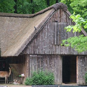 Asian ungulate stable at Krefeld 15/05/09