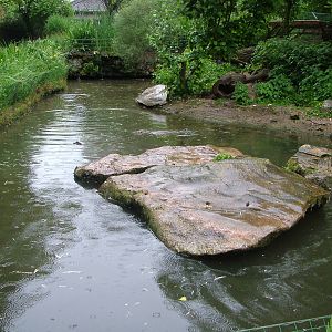European Otter enclosure at Krefeld 15/05/09
