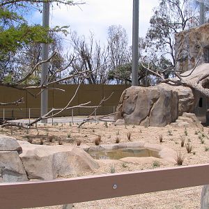 Elephant Odyssey - Unfinished Lion Exhibit