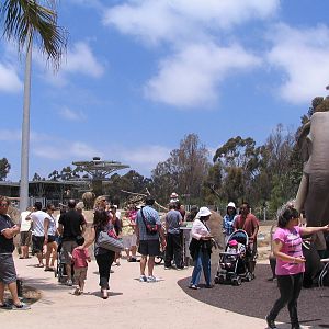 Elephant Odyssey-Memorial Day Entrance