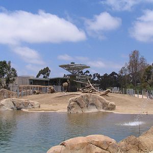 Elephant Odyssey - Elephant Pool