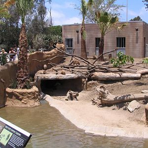 Elephant Odyssey - Capybara and Tapir Exhibit