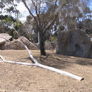 Elephant Odyssey - Pronghorn