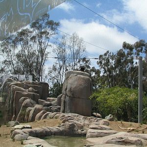 Elephant Odyssey - Condor Exhibit
