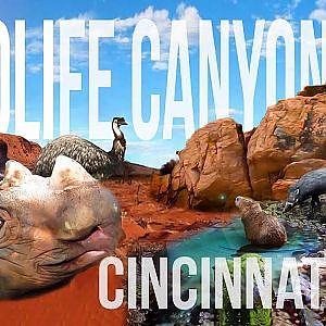 Zoo Tours: Wildlife Canyon & Sumatran Rhinos