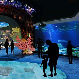 The Shedd Aquarium's Wild Reef Promo/Concept Art