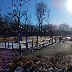 1/5/2019 - Adventure Africa Construction