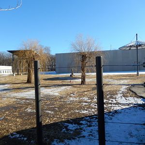 1/5/2019 - Adventure Africa Construction