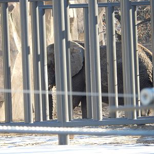 1/5/2019 - Who's That Enjoying Her New Home? :)