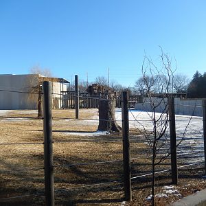 1/5/2019 - Adventure Africa Construction