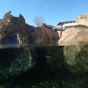 1/5/2019 - Otter Passage