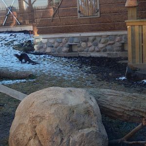 1/5/2019 - Otter Passage