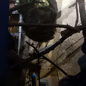 1/5/2019 - Artist on the Rise?