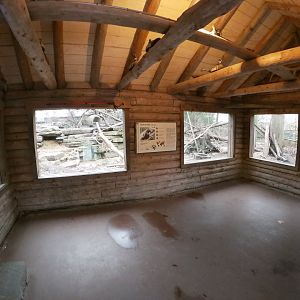 Jan. 2019 - North America - Wolverine Cabin Viewing