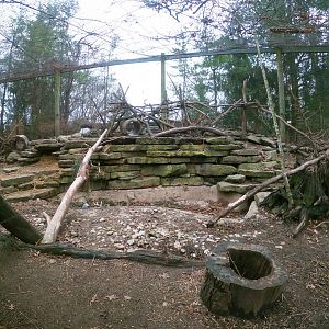 Jan. 2019 - North America - Wolverine Exhibit