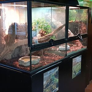 Water dragon and monitor raising-enclosures