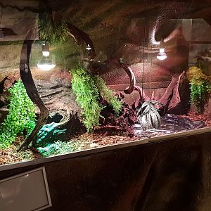 New decorated enclosure