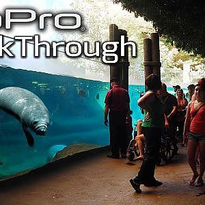 GoPro Walkthrough of the Manatee Coast