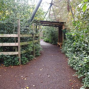 Section of pathway alongside okapi exhibits (Nov 10th, 2018)