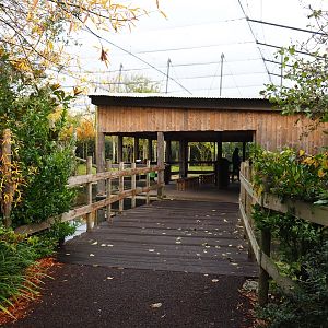 Okapi viewing shelter (Nov 10th, 2018)