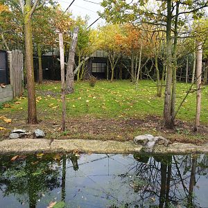 Second okapi exhibit (Nov 10th, 2018)