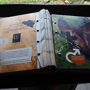 Okapi identification book (Nov 10th, 2018)