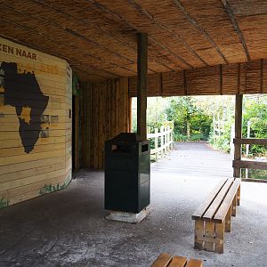 View in the okapi viewing shelter (Nov 10th, 2018)