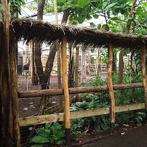 View in the okapi and African bird house (Nov 10th, 2018)