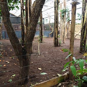 Indoor okapi paddocks (Nov 10th, 2018)