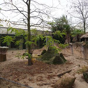 Meerkat exhibit (Nov 10th, 2018)