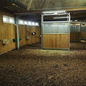 Greater kudu stables (Nov 10th, 2018)