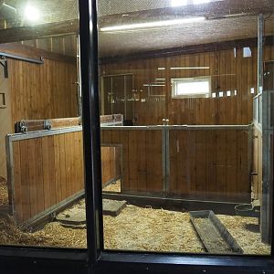 Red river hog stables (Nov 10th, 2018)