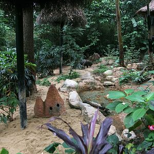 Giant anteater exhibit