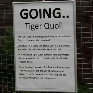 Tiger Quoll Conservation Sign