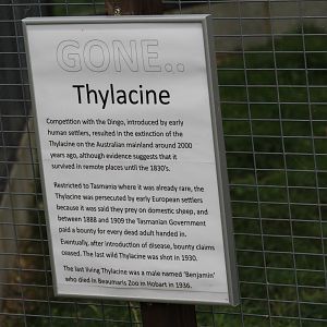 Thylacine Extinction Sign