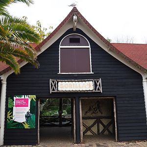 Western lowland gorilla exhibit viewing shelter (Nov 10th, 2018)