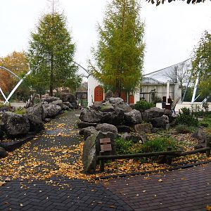 Rock garden - Former location of cat cages (Nov 10th, 2018)