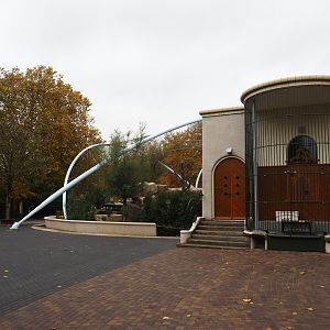 Gelada house (Nov 10th, 2018)