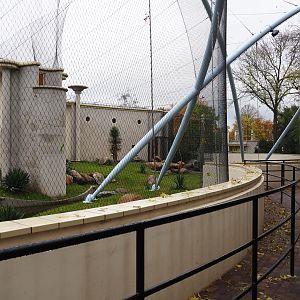 First gelada exhibit and viewing area (Nov 10th, 2018)