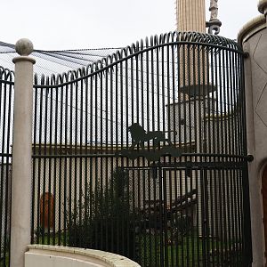 Restored old fencing (Nov 10th, 2018)